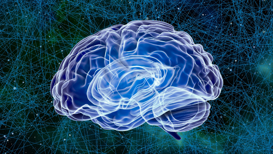 Has Intel Created a Human Brain? Meet Hala Point