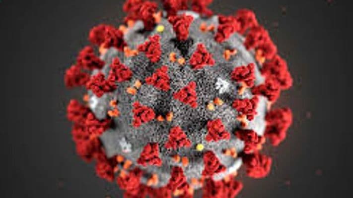 Coronavirus updates for May 17