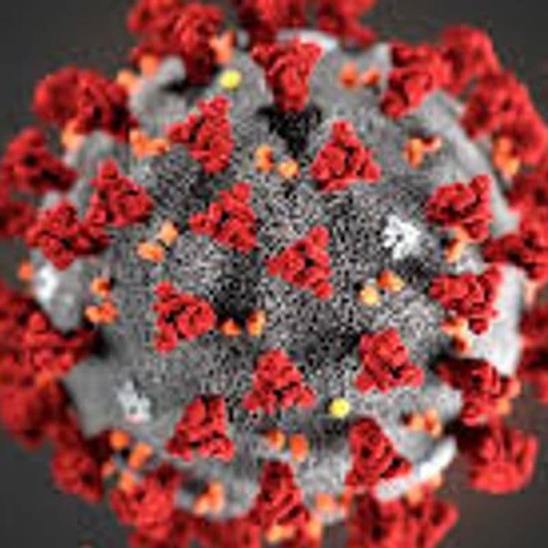 Coronavirus updates for May 17