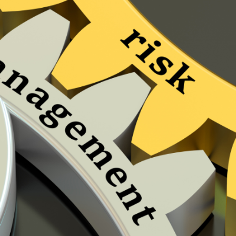 Risk management for startups: best practices

