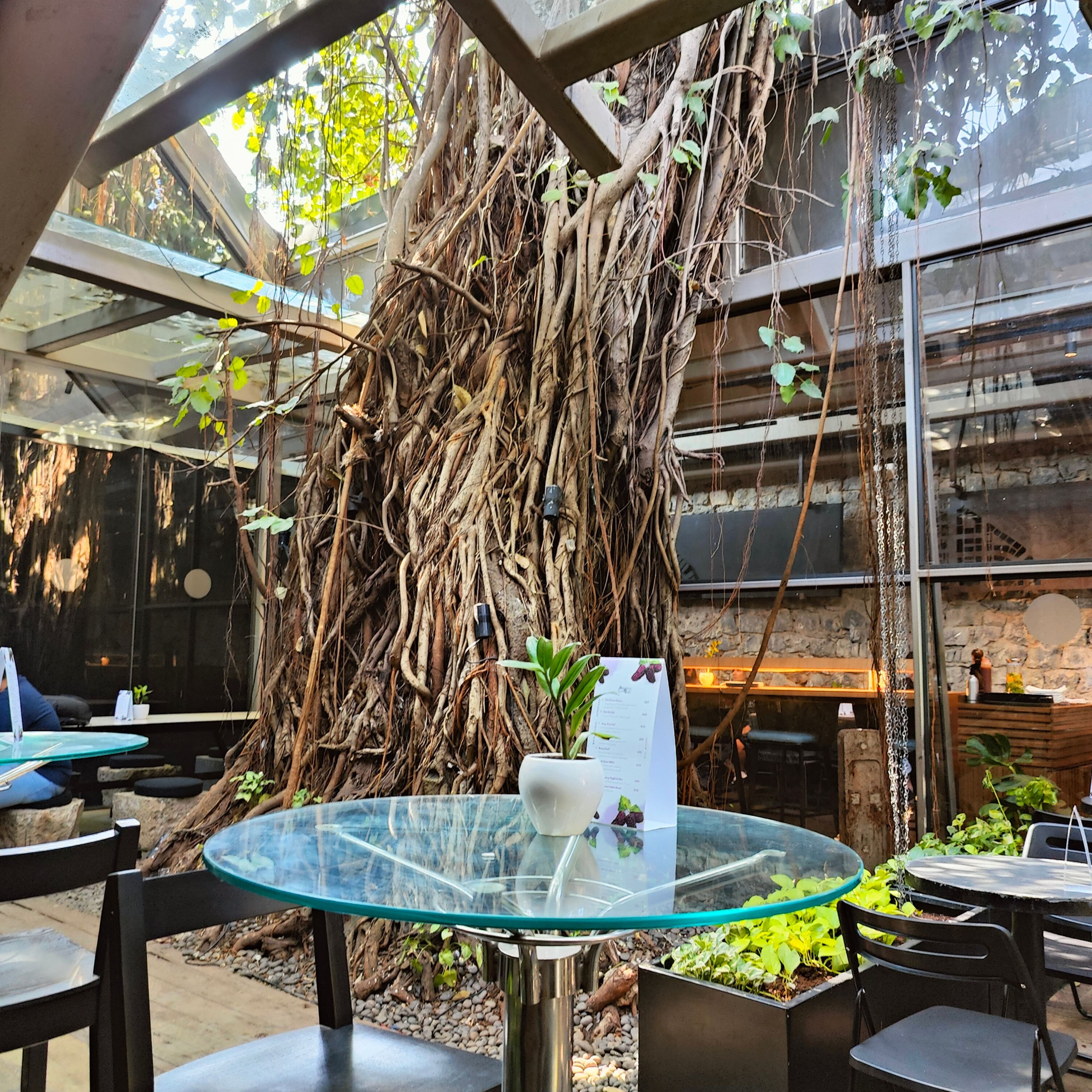 Coffee, comfort, and career: 5 best work cafes in Bengaluru